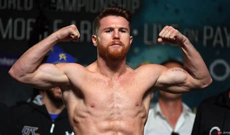 canelo álvarez net worth.